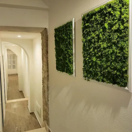 Apartment San Giovanni Exclusive *